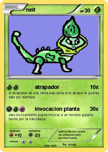 Pokemon neit