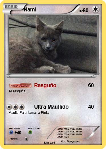 Pokemon Nami