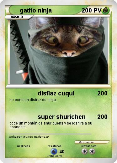 Pokemon gatito ninja
