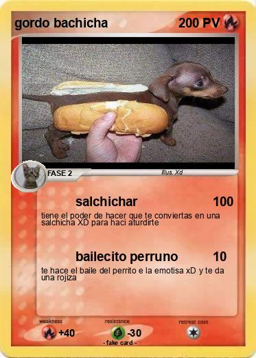 Pokemon gordo bachicha