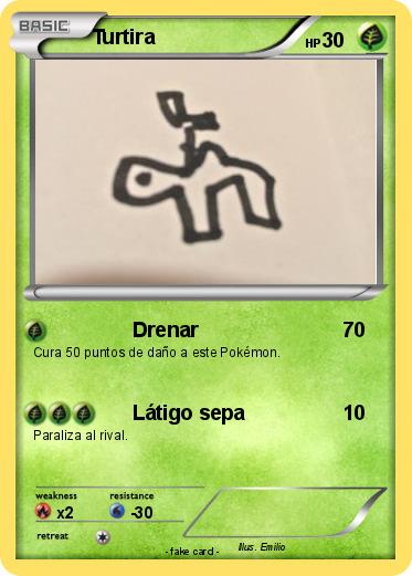 Pokemon Turtira
