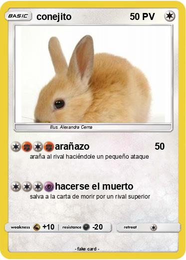 Pokemon conejito