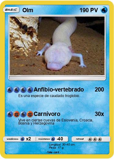 Pokemon Olm