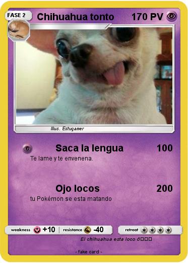 Pokemon Chihuahua tonto