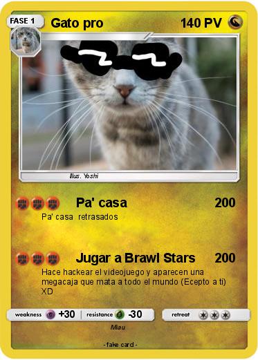 Pokemon Gato pro