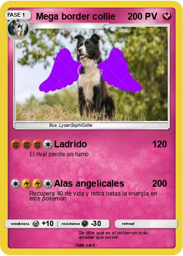 Pokemon Mega border collie