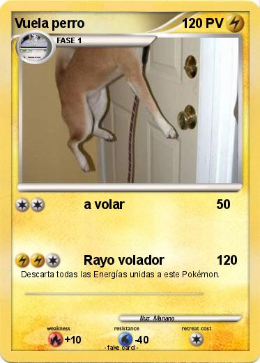 Pokemon Vuela perro