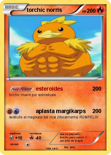 Pokemon torchic norris