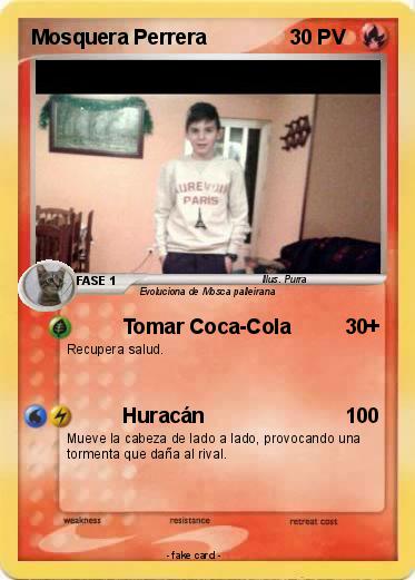 Pokemon Mosquera Perrera