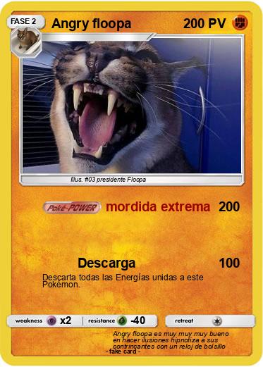 Pokemon Angry floopa