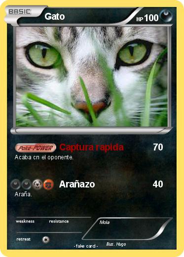 Pokemon Gato