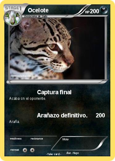 Pokemon Ocelote