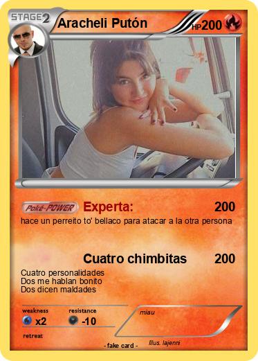 Pokemon Aracheli Putón