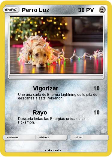 Pokemon Perro Luz