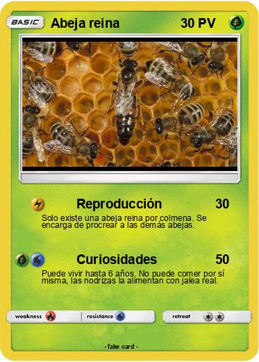 Pokemon Abeja reina