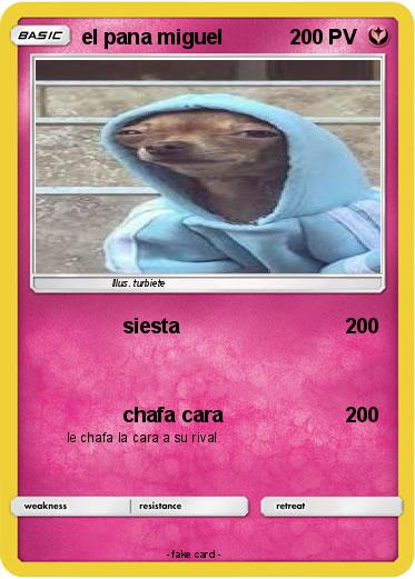 Pokemon el pana miguel