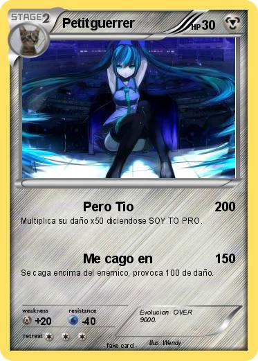 Pokemon Petitguerrer