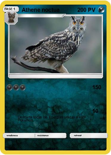 Pokemon Athene noctua