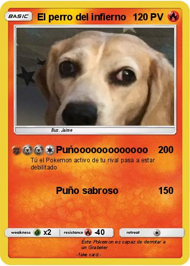 Pokemon El perro del infierno