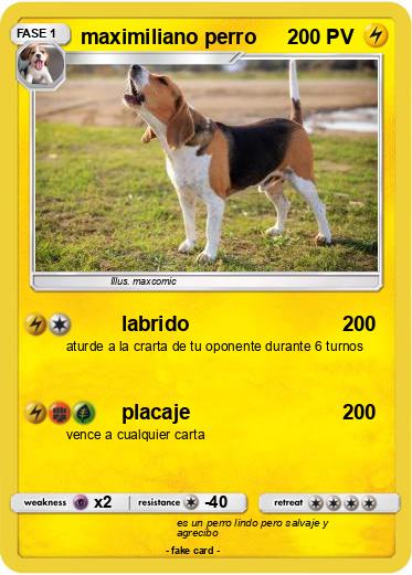 Pokemon maximiliano perro
