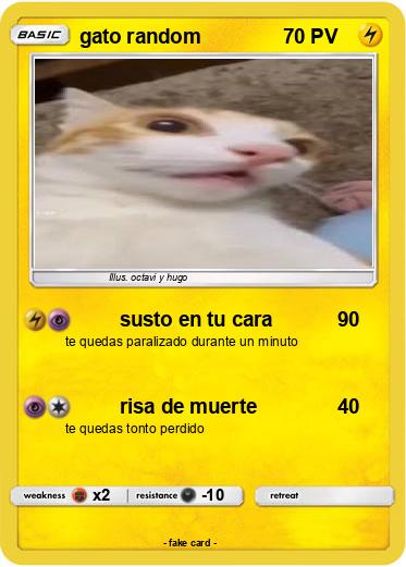 Pokemon gato random