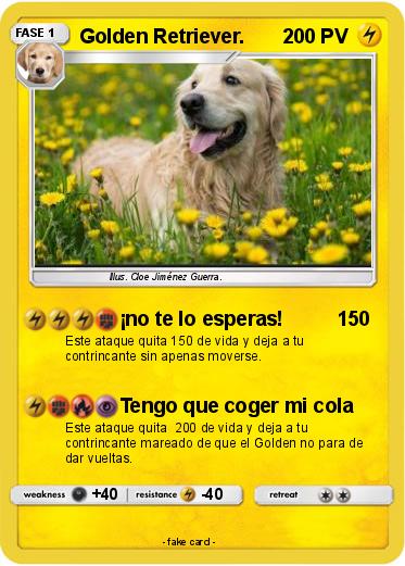 Pokemon Golden Retriever.