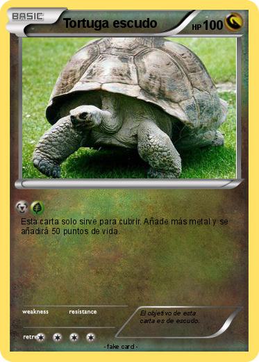 Pokemon Tortuga escudo