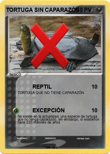Pokemon TORTUGA SIN CAPARAZÓN