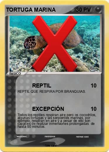 Pokemon TORTUGA MARINA