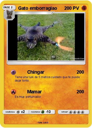 Pokemon Gato emborragiao