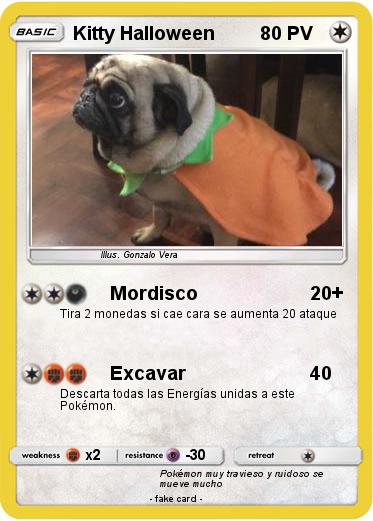 Pokemon Kitty Halloween