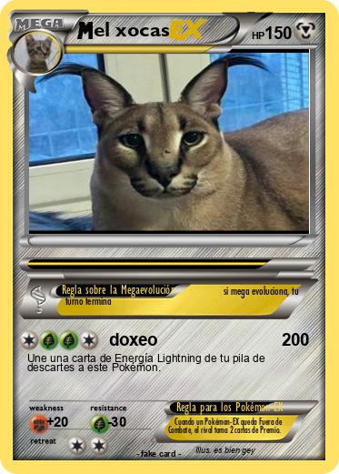Pokemon el xocas