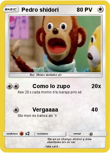 Pokemon Pedro shidori