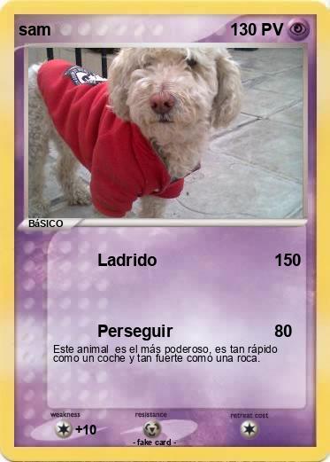 Pokemon sam