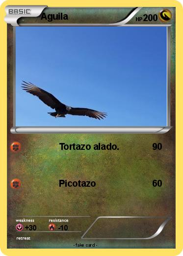 Pokemon Aguila