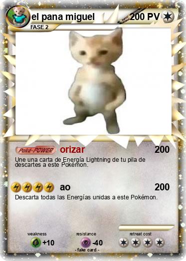 Pokemon el pana miguel