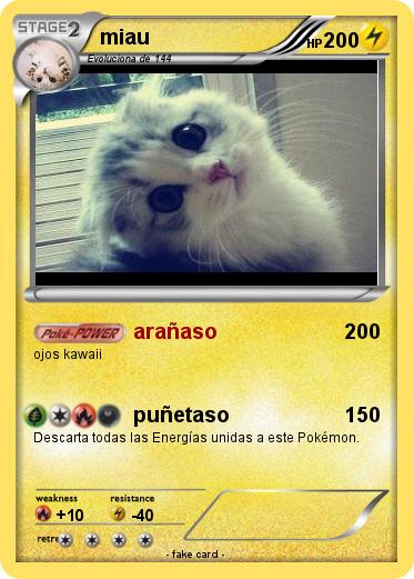 Pokemon miau