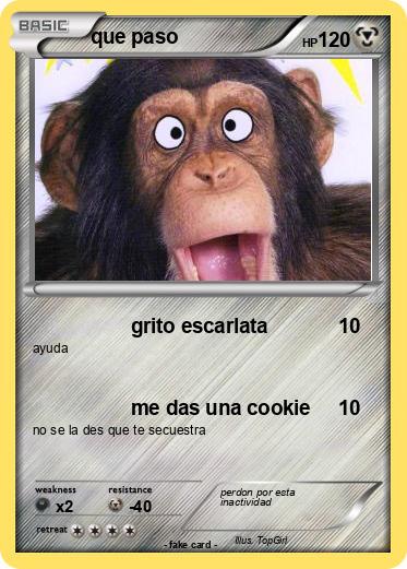 Pokemon que paso