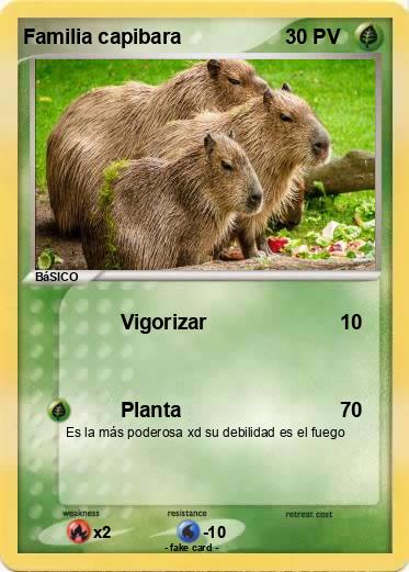 Pokemon Familia capibara