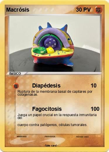 Pokemon Macrósis