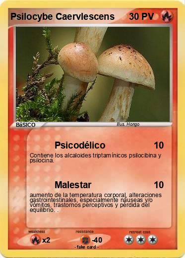 Pokemon Psilocybe Caervlescens