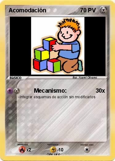 Pokemon Acomodación