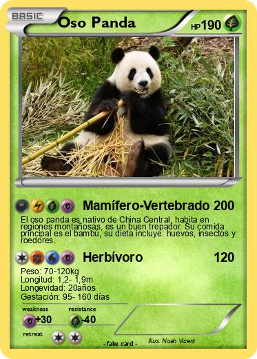 Pokemon Oso Panda
