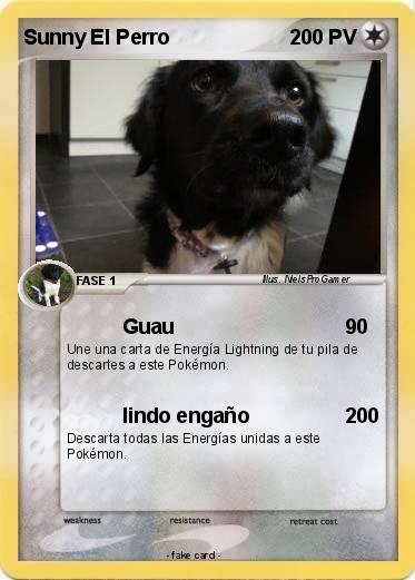 Pokemon Sunny El Perro