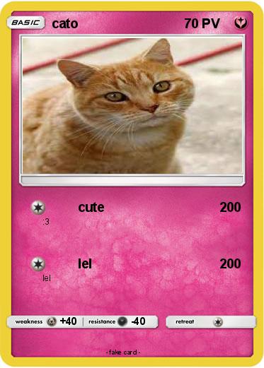 Pokemon cato