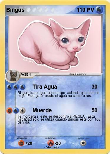 Pokemon Bingus