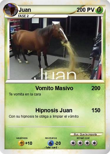 Pokemon Juan
