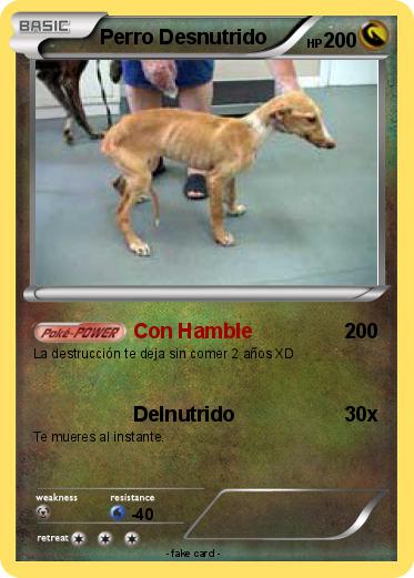 Pokemon Perro Desnutrido