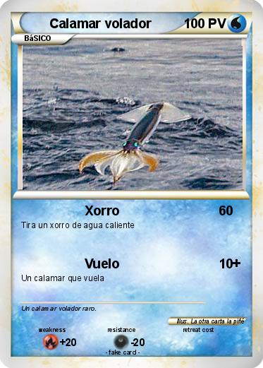 Pokemon Calamar volador
