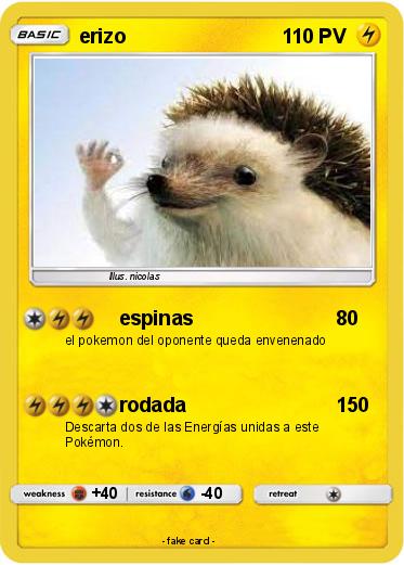 Pokemon erizo